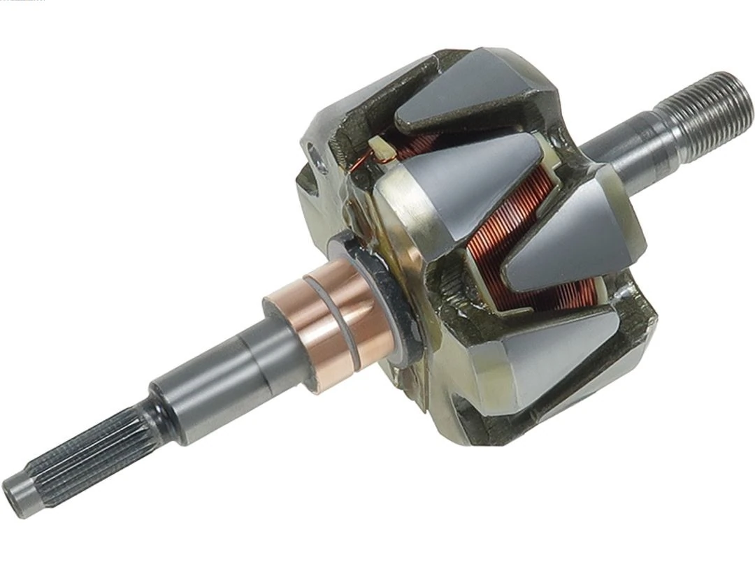 Rotor, alternator