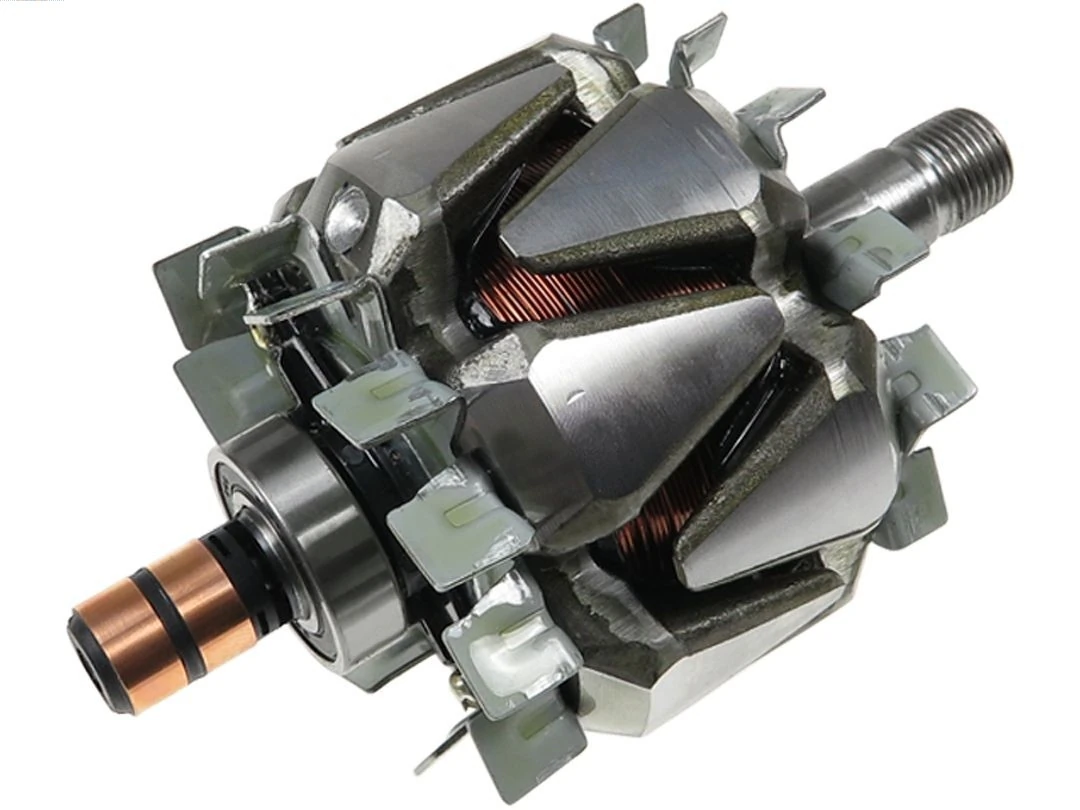 Rotor, alternator