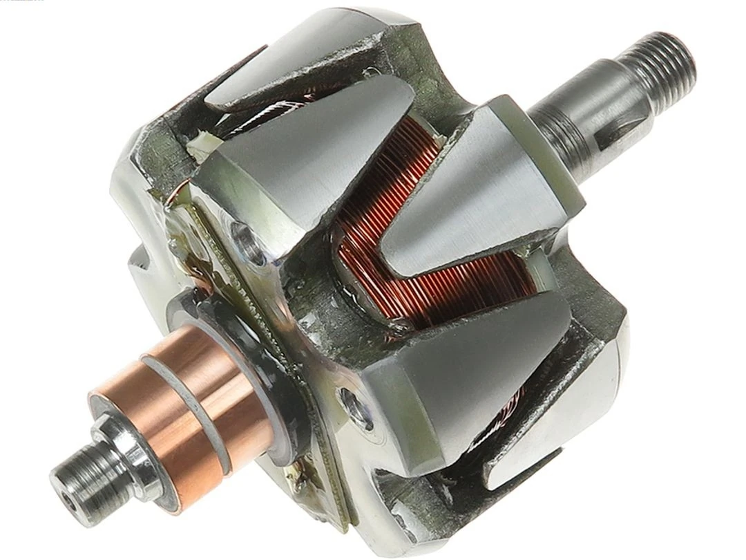 Rotor, alternator