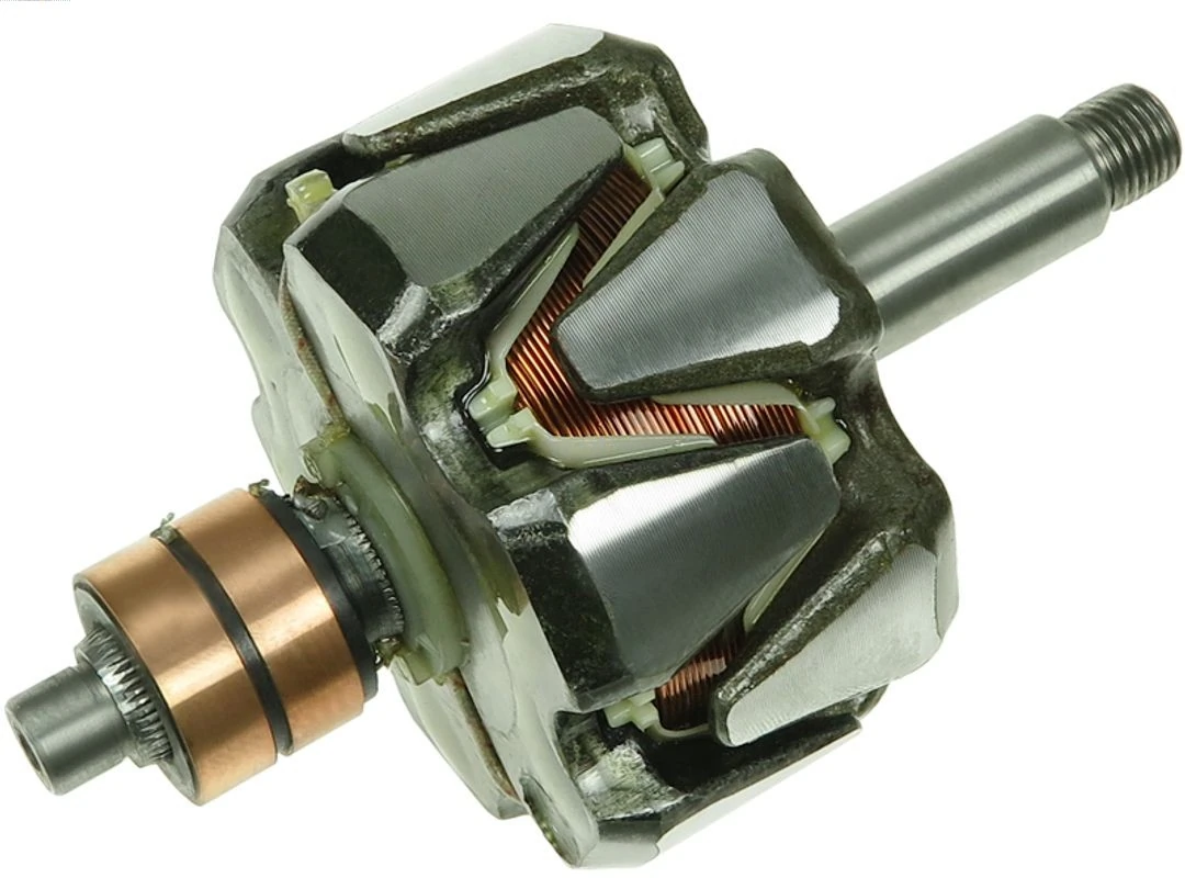 Rotor, alternator