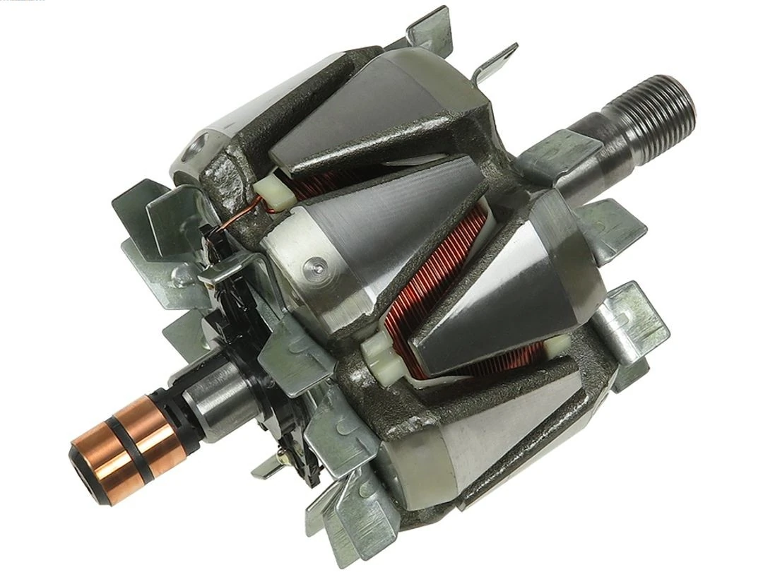 Rotor, alternator