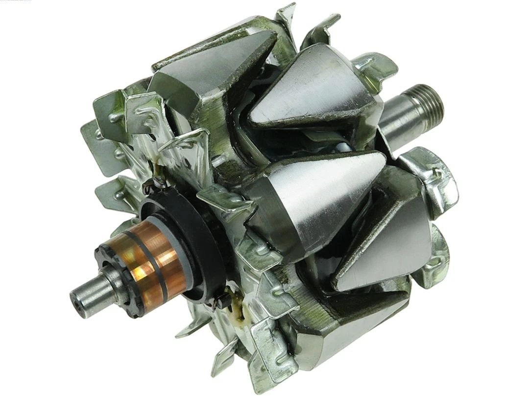 Rotor, alternator