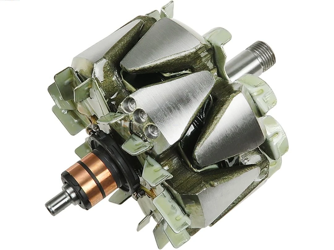 Rotor, alternator