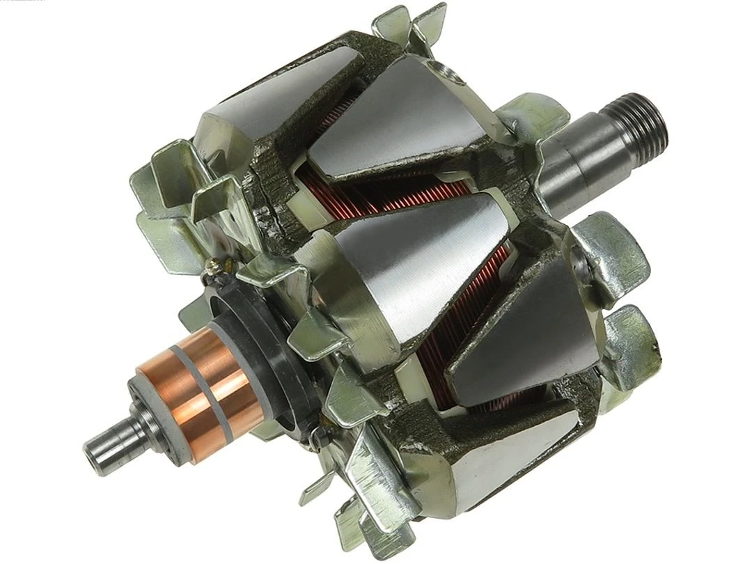 Rotor, alternator