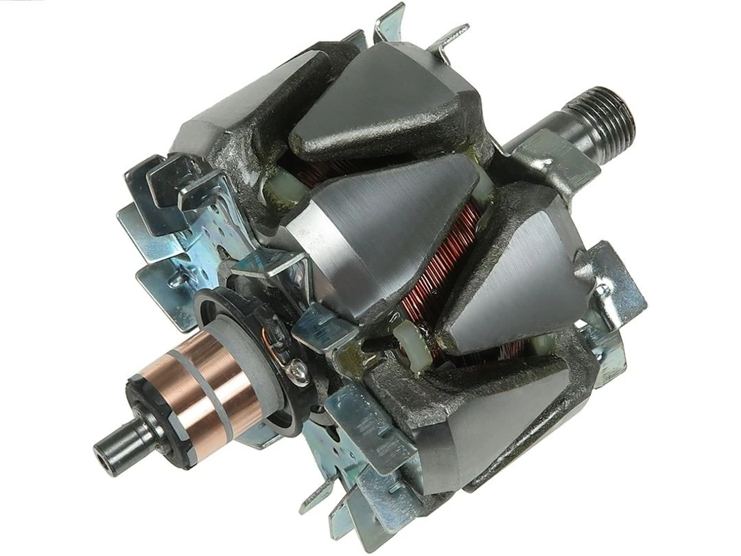 Rotor, alternator