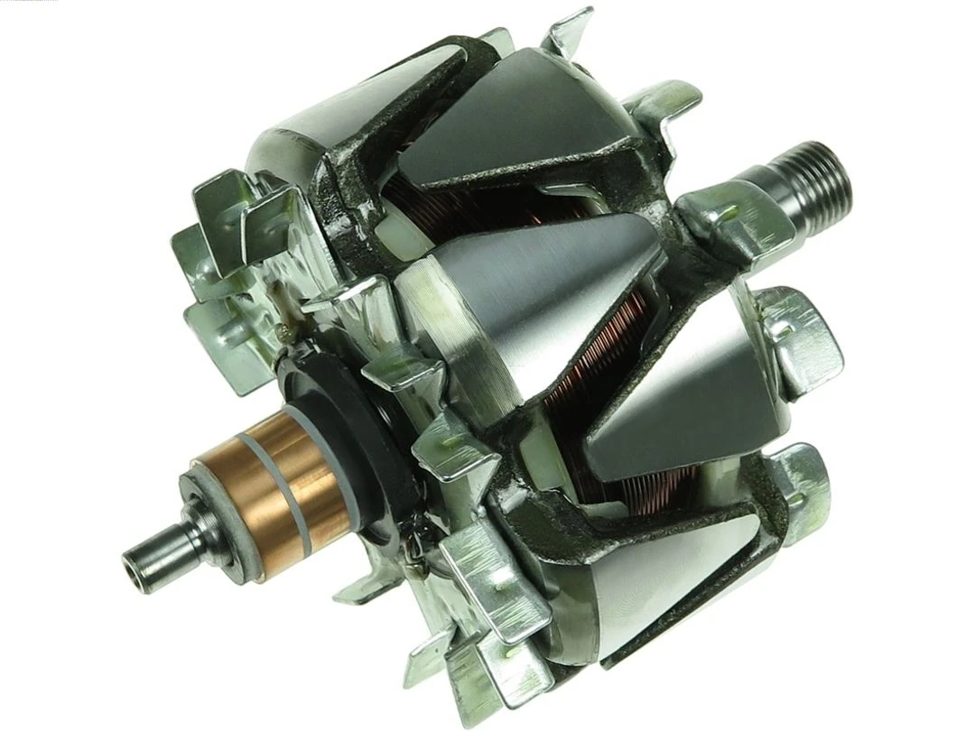 Rotor, alternator