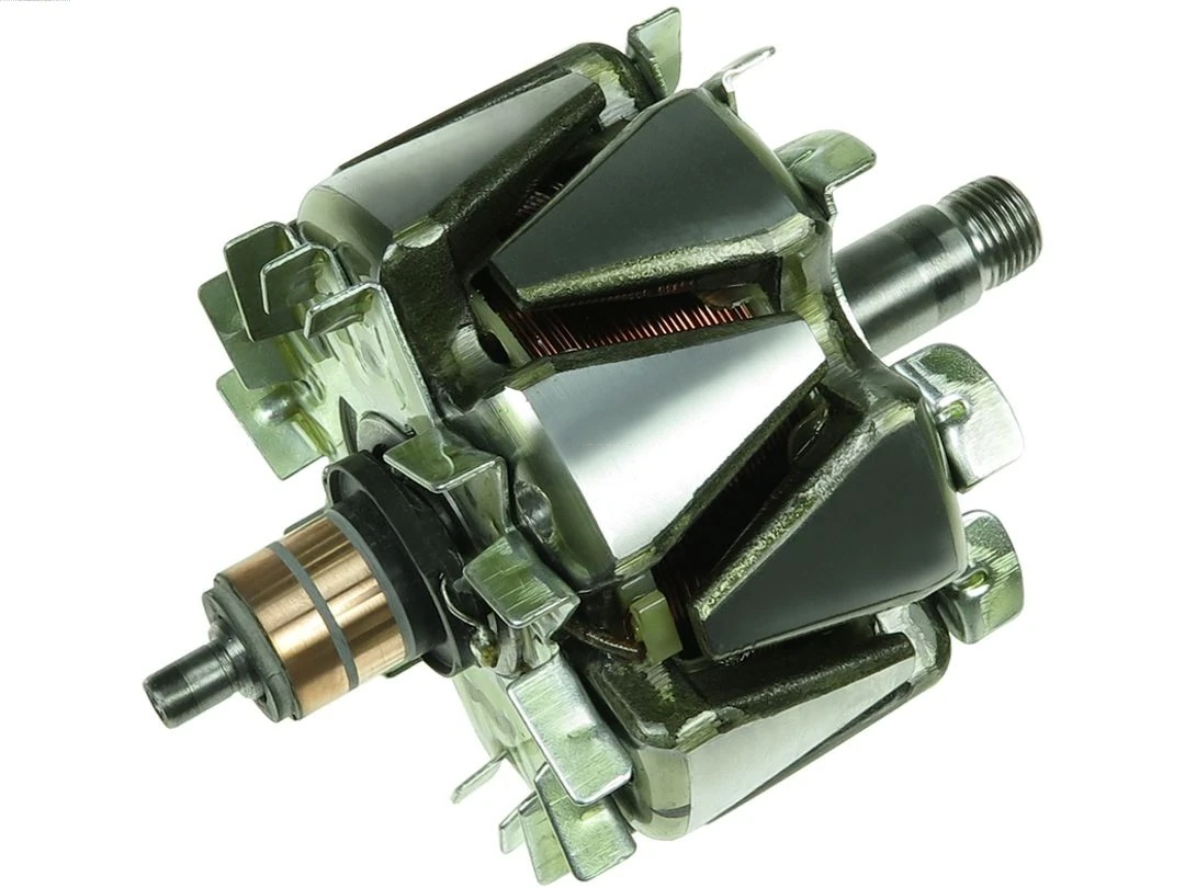 Rotor, alternator