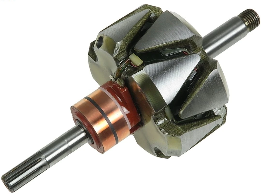 Rotor, alternator