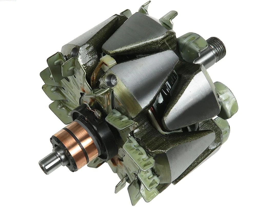 Rotor, alternator