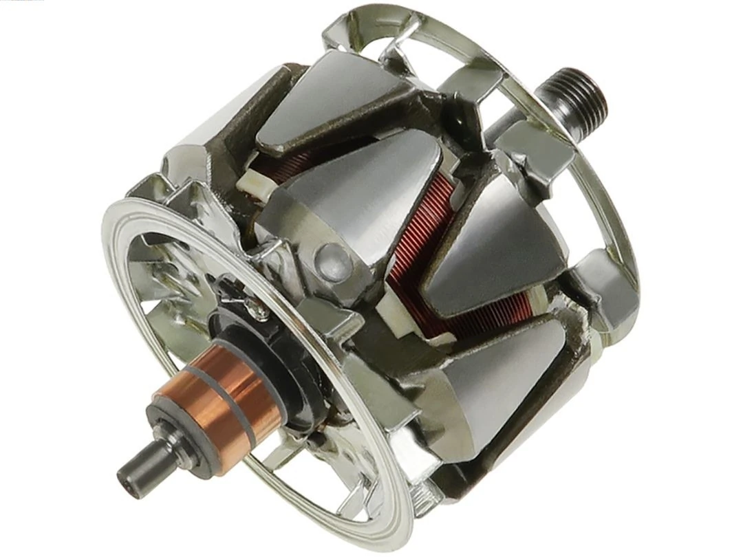Rotor, alternator