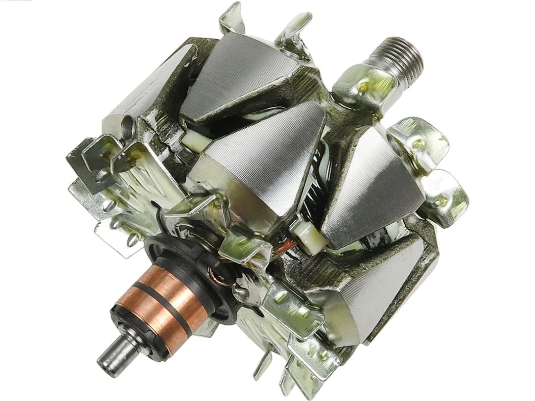 Rotor, alternator