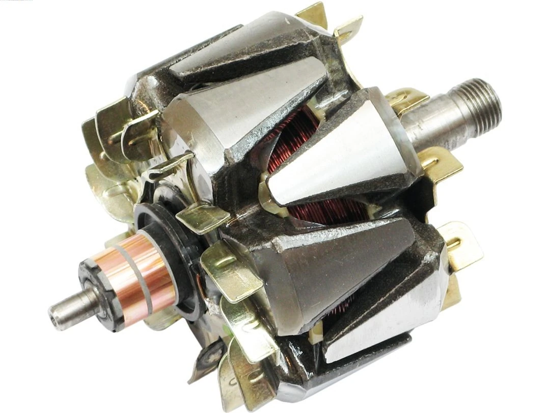 Rotor, alternator