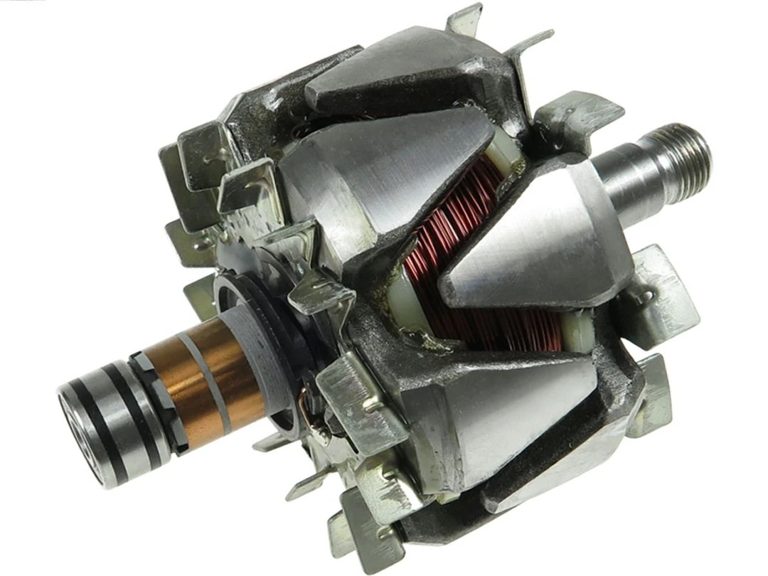 Rotor, alternator