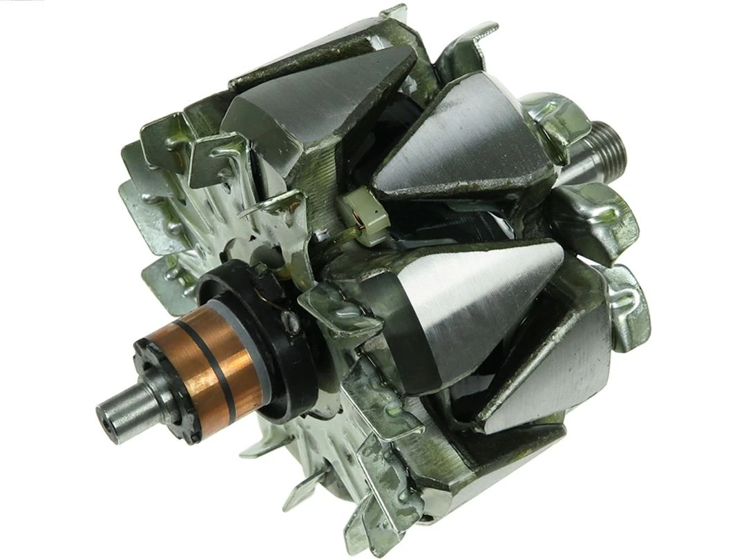Rotor, alternator