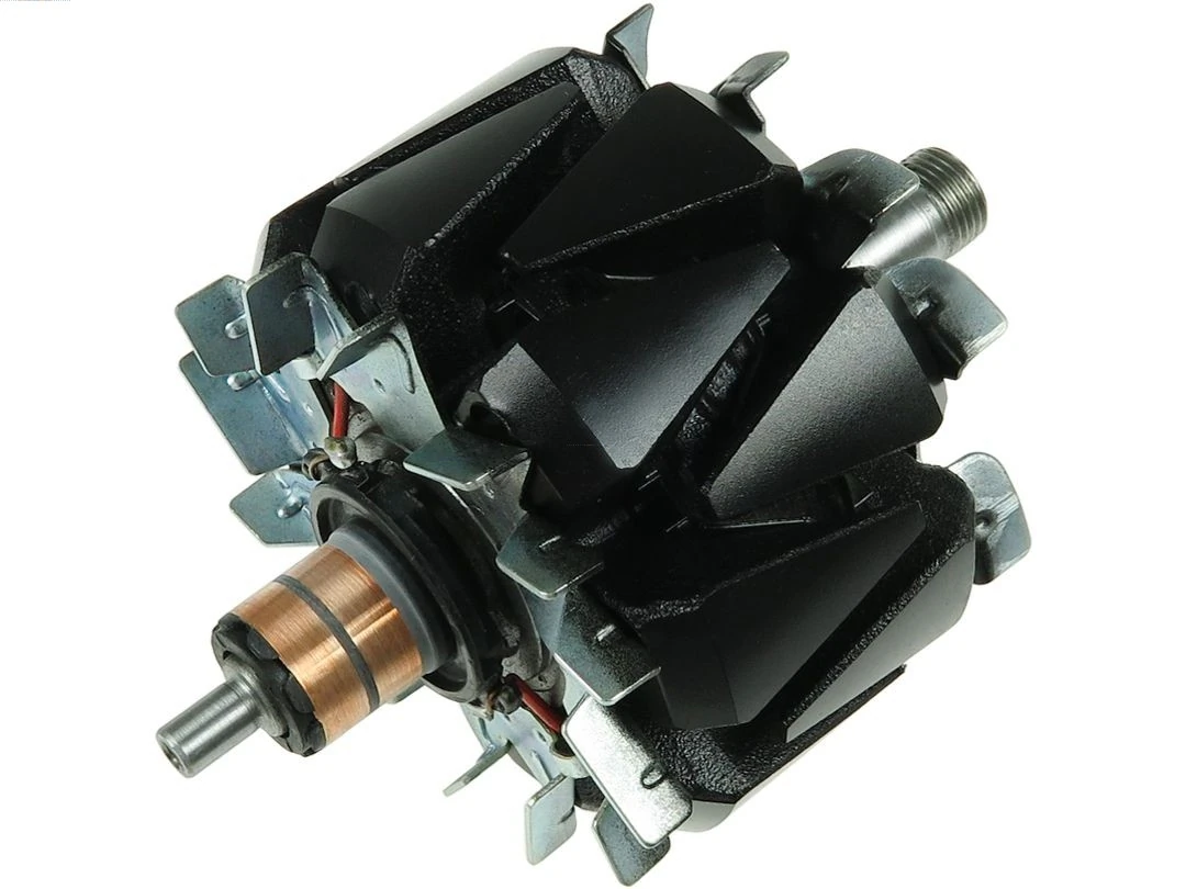 Rotor, alternator