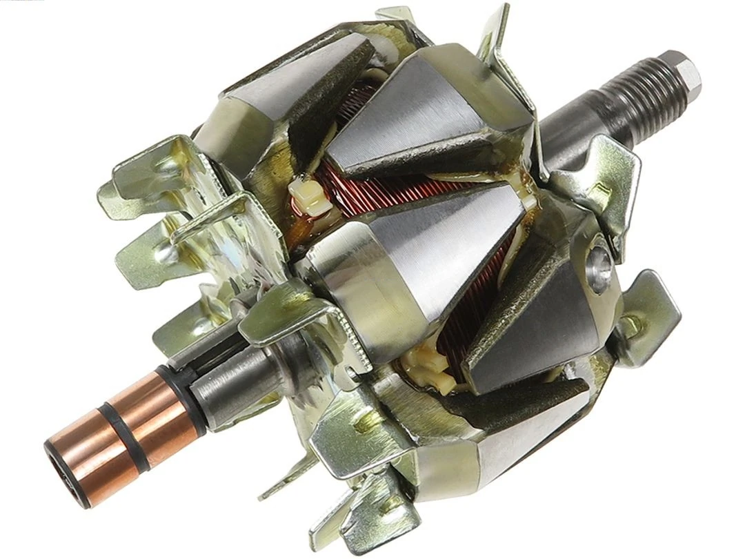 Rotor, alternator
