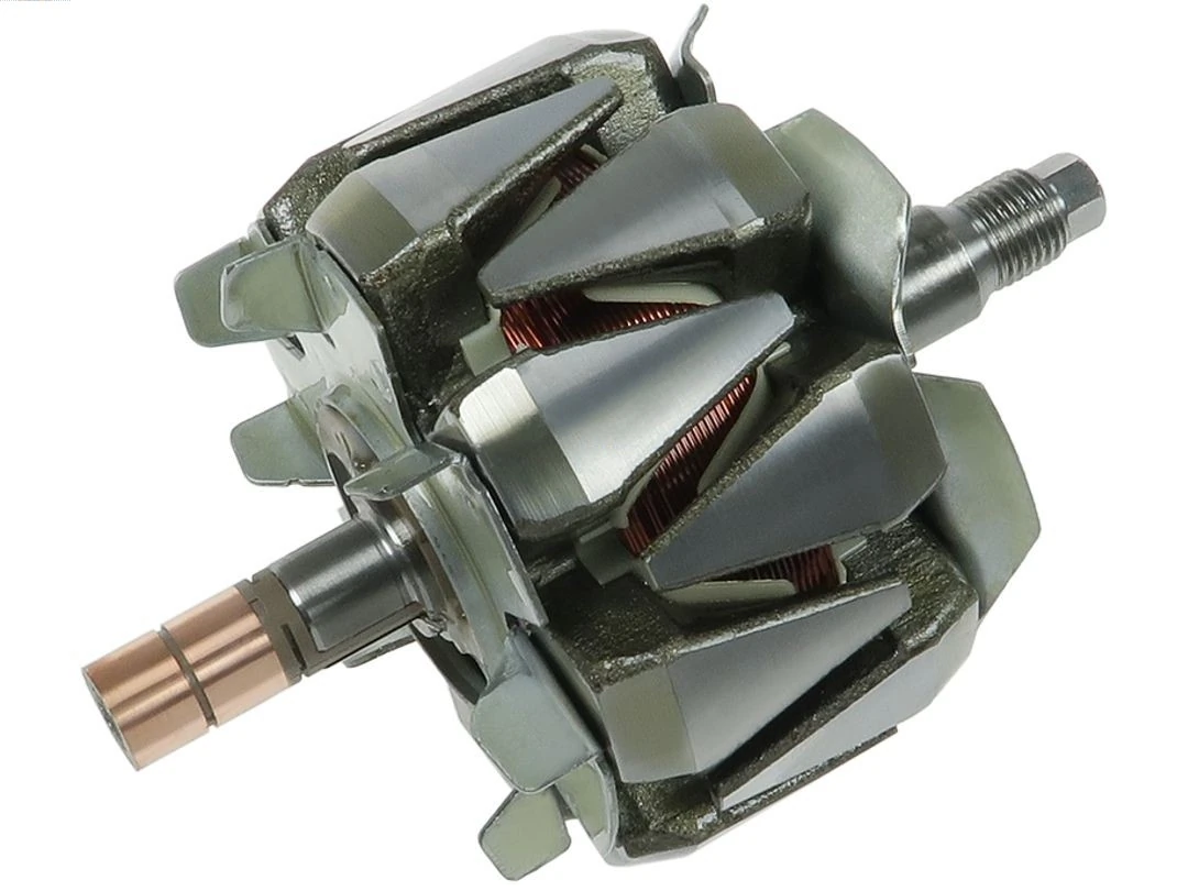 Rotor, alternator