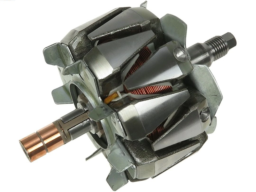 Rotor, alternator