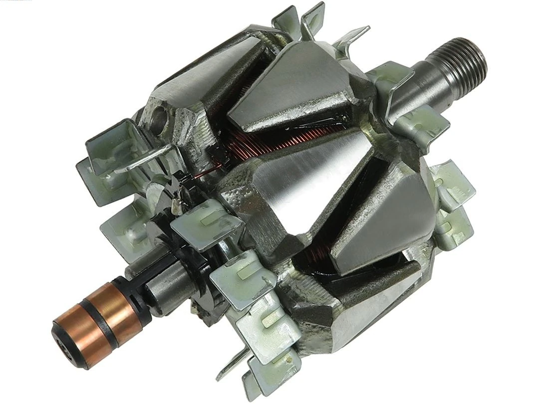 Rotor, alternator