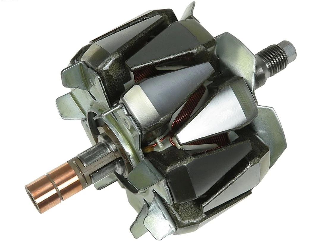 Rotor, alternator