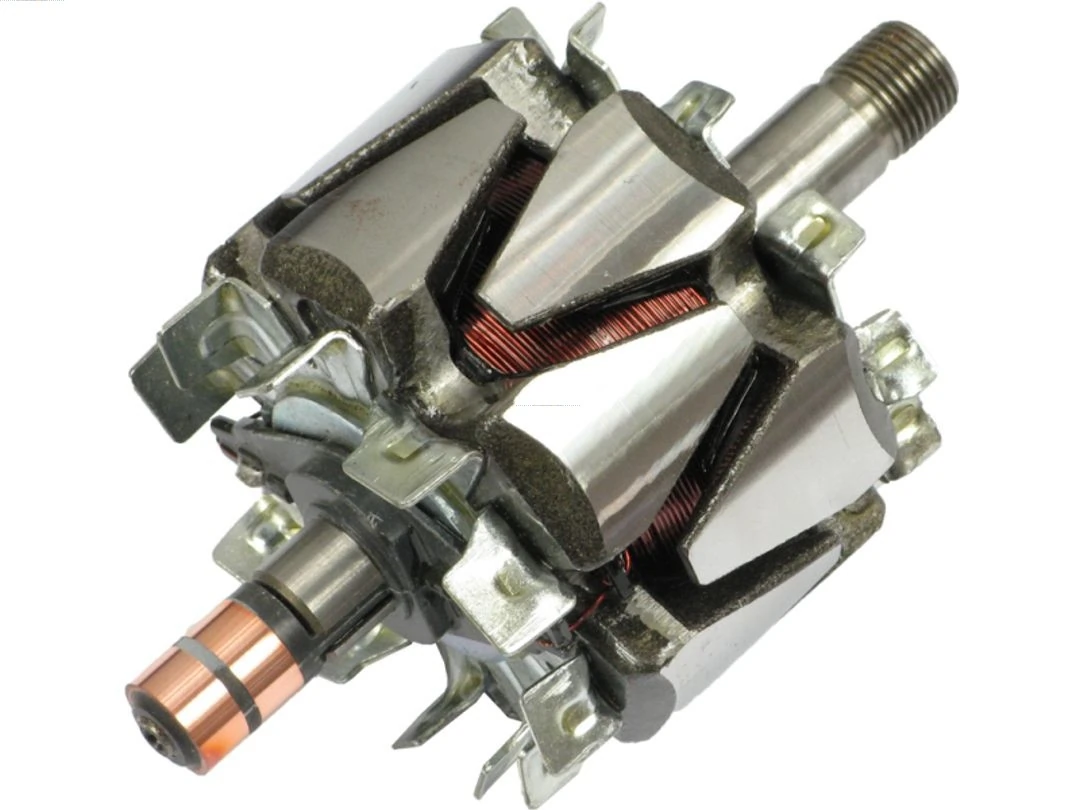Rotor, alternator