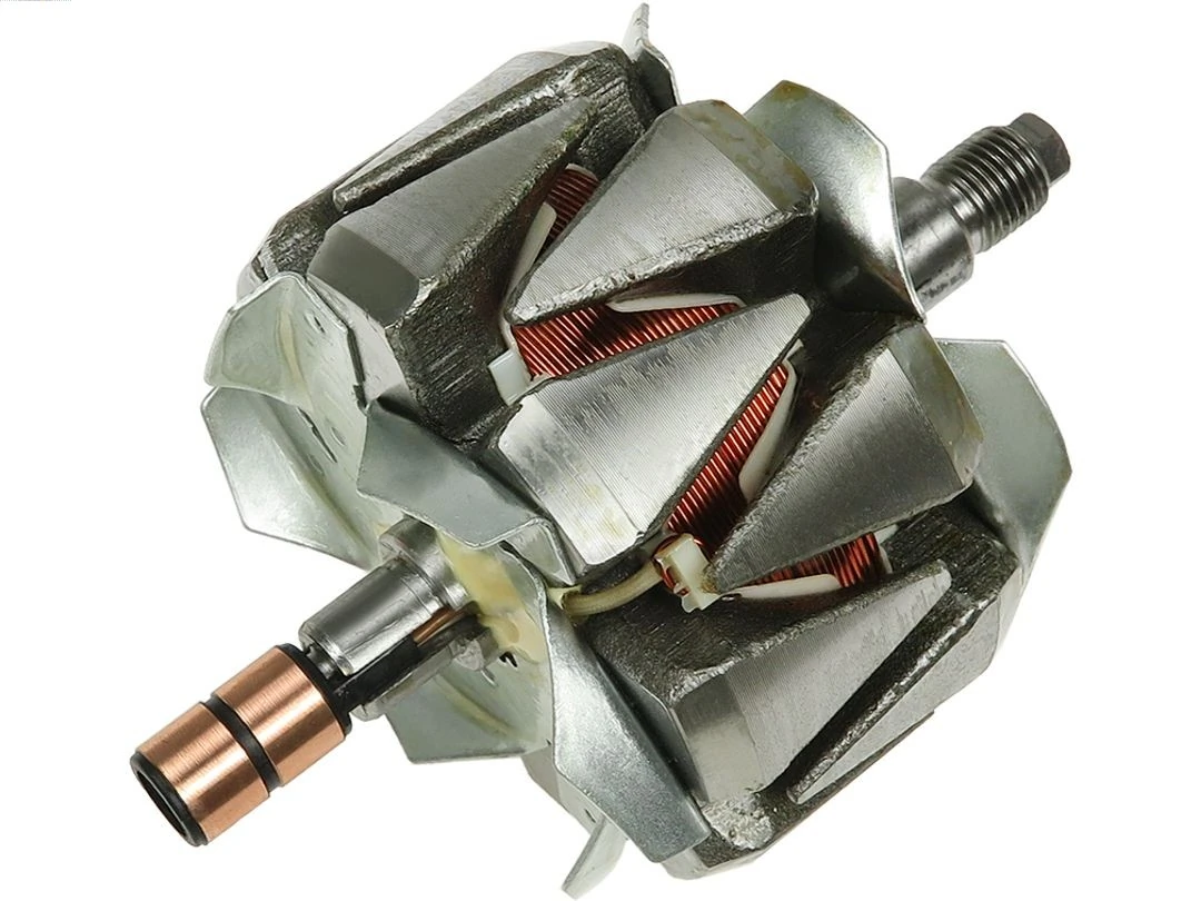 Rotor, alternator