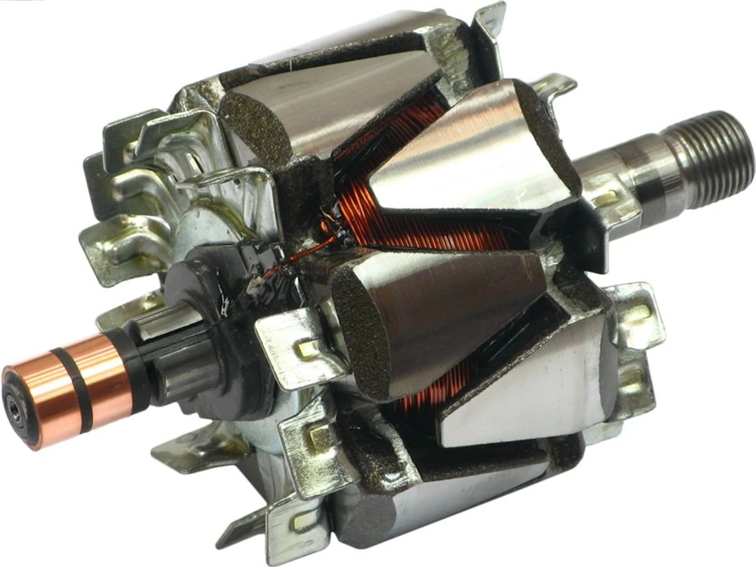 Rotor, alternator