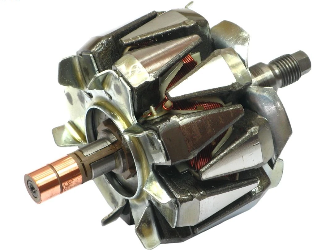 Rotor, alternator