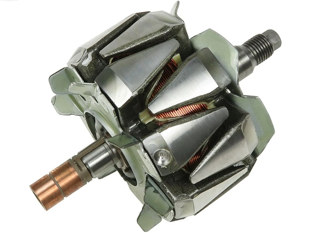 Rotor, alternator
