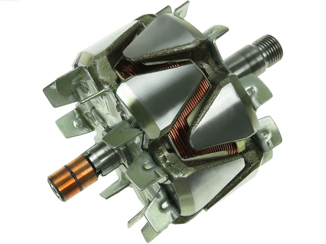 Rotor, alternator