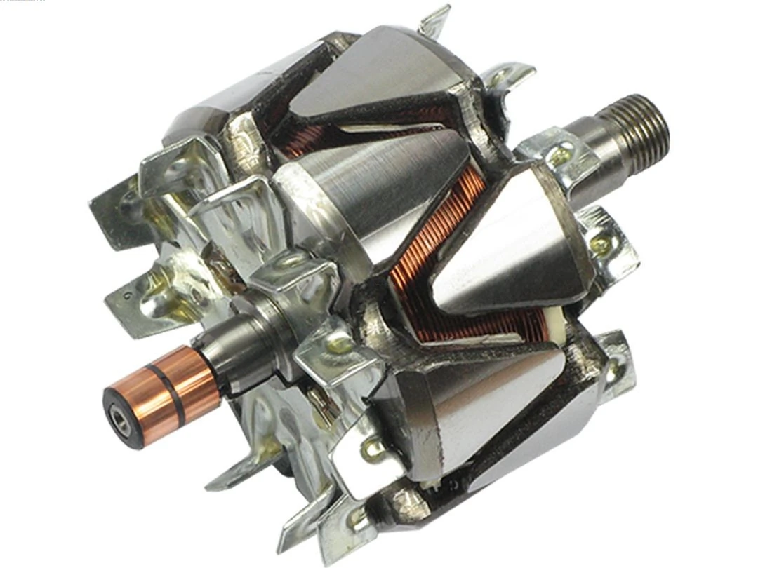 Rotor, alternator