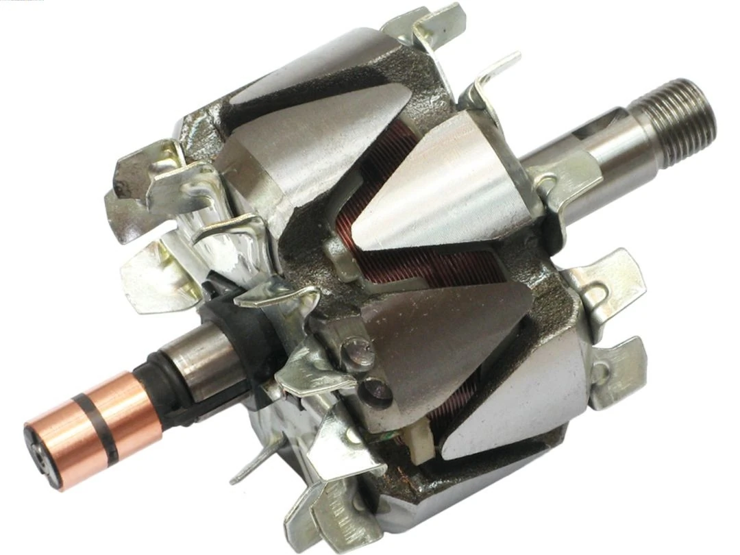 Rotor, alternator
