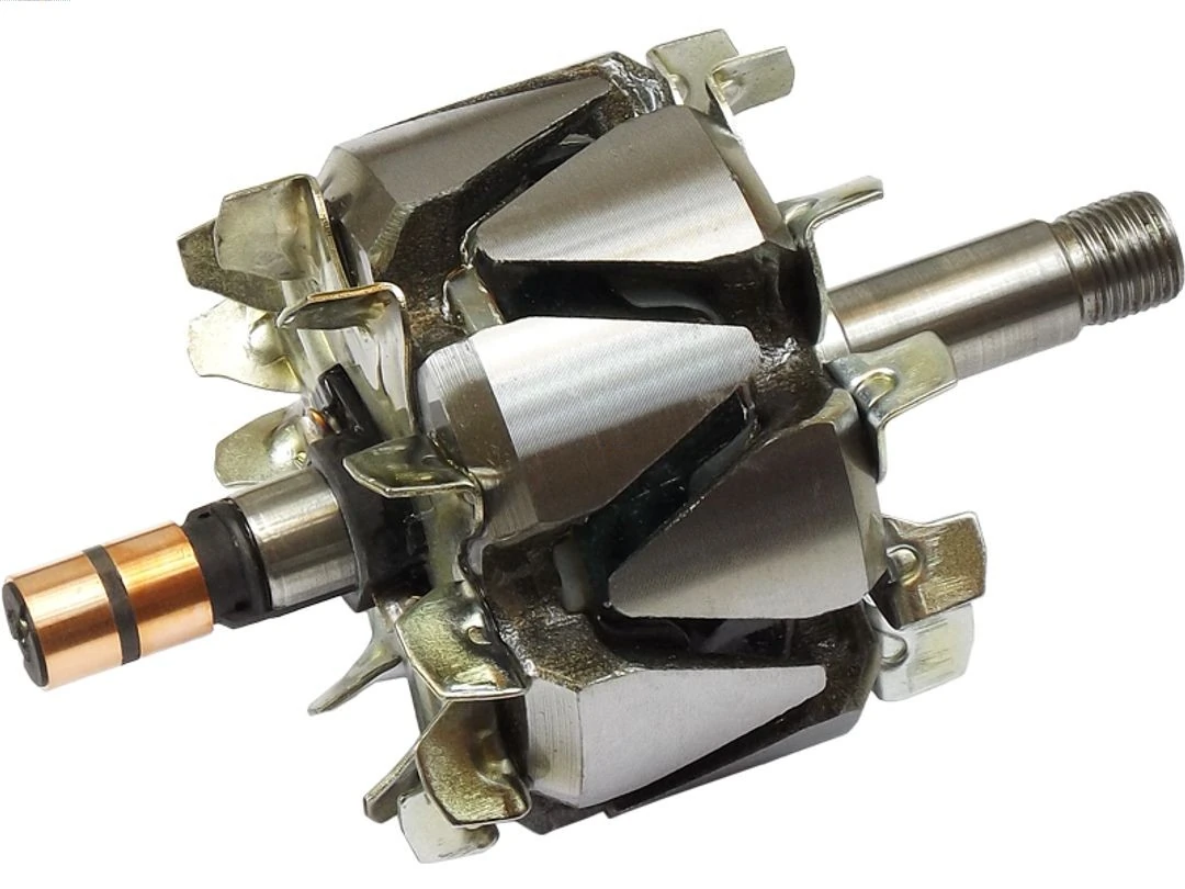 Rotor, alternator