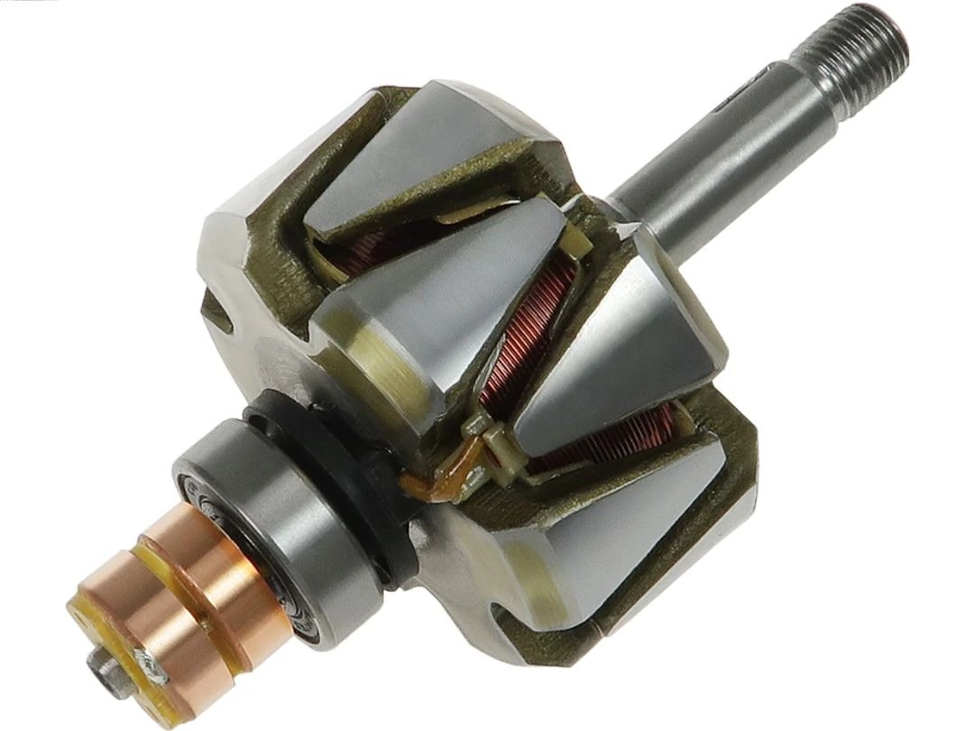 Rotor, alternator