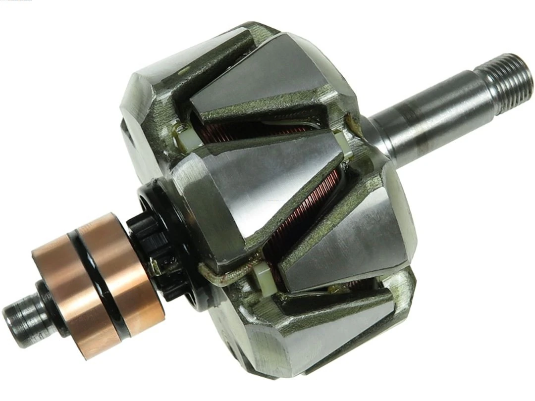 Rotor, alternator