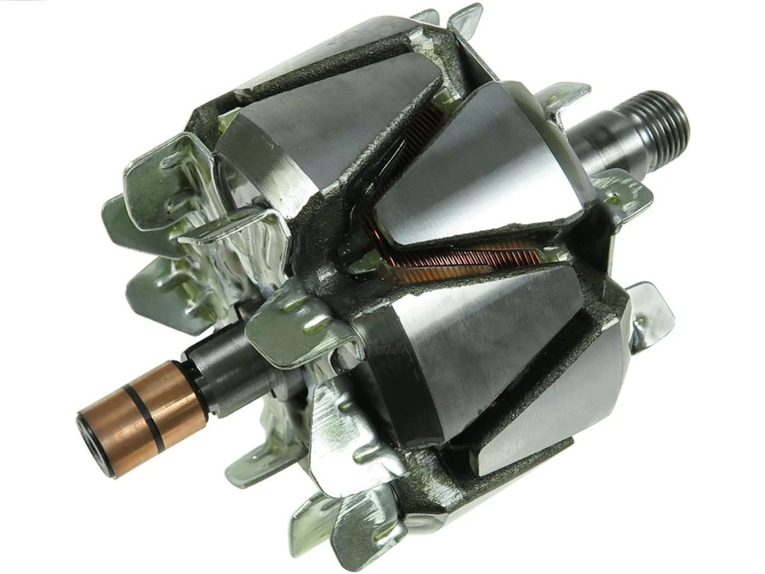 Rotor, alternator