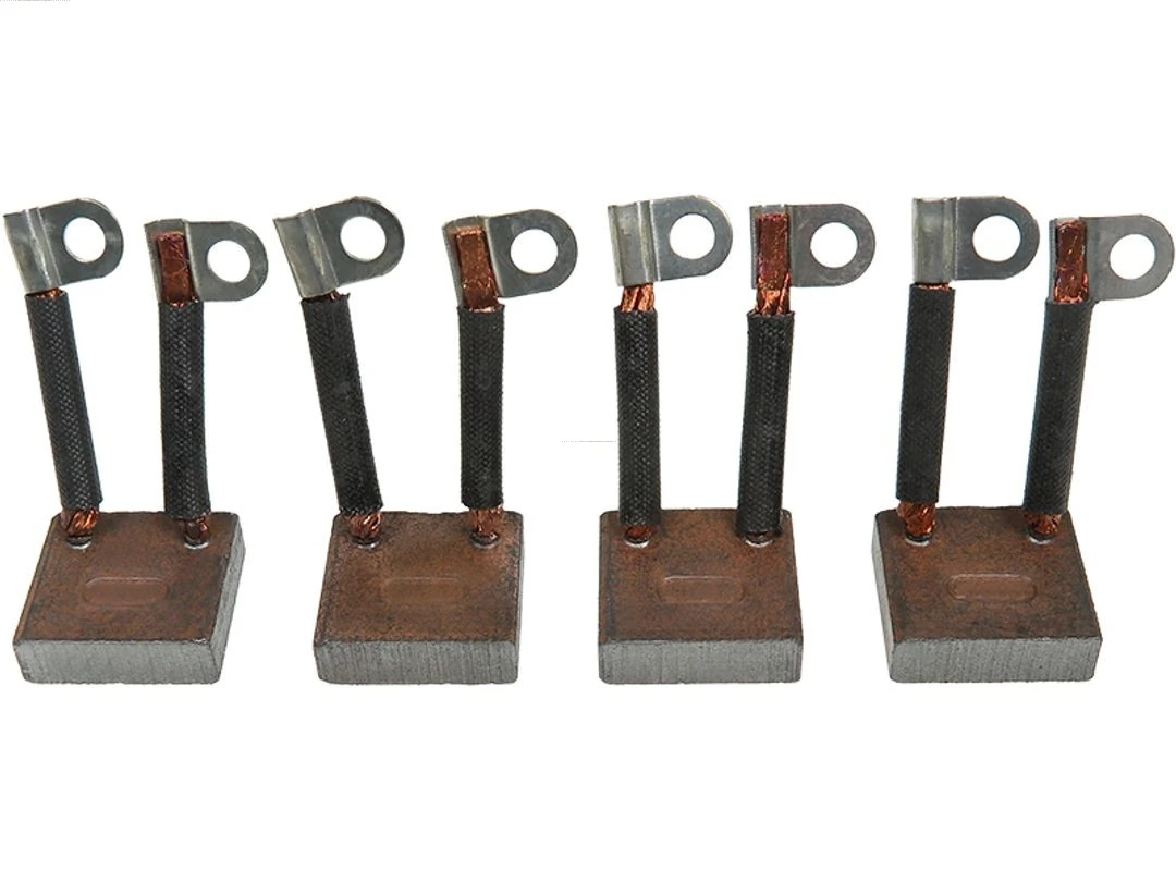 Carbon Brush, starter