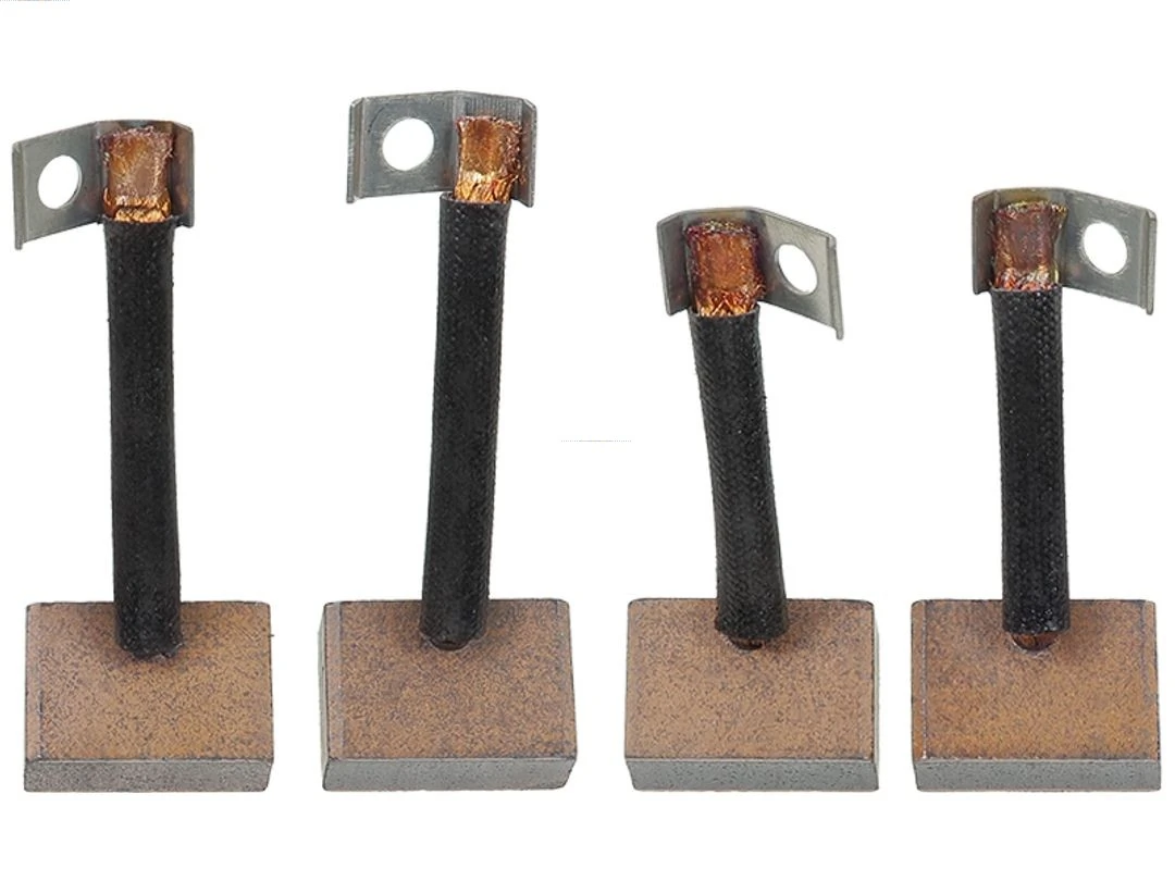 Carbon Brush, starter