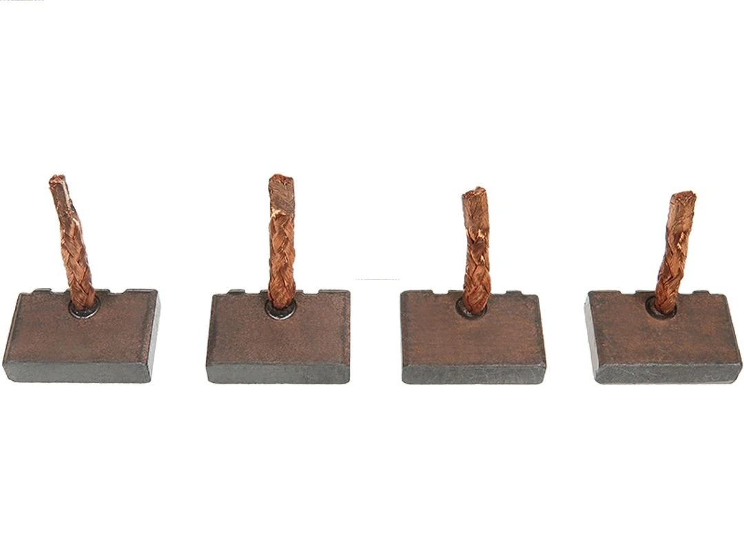 Carbon Brush, starter