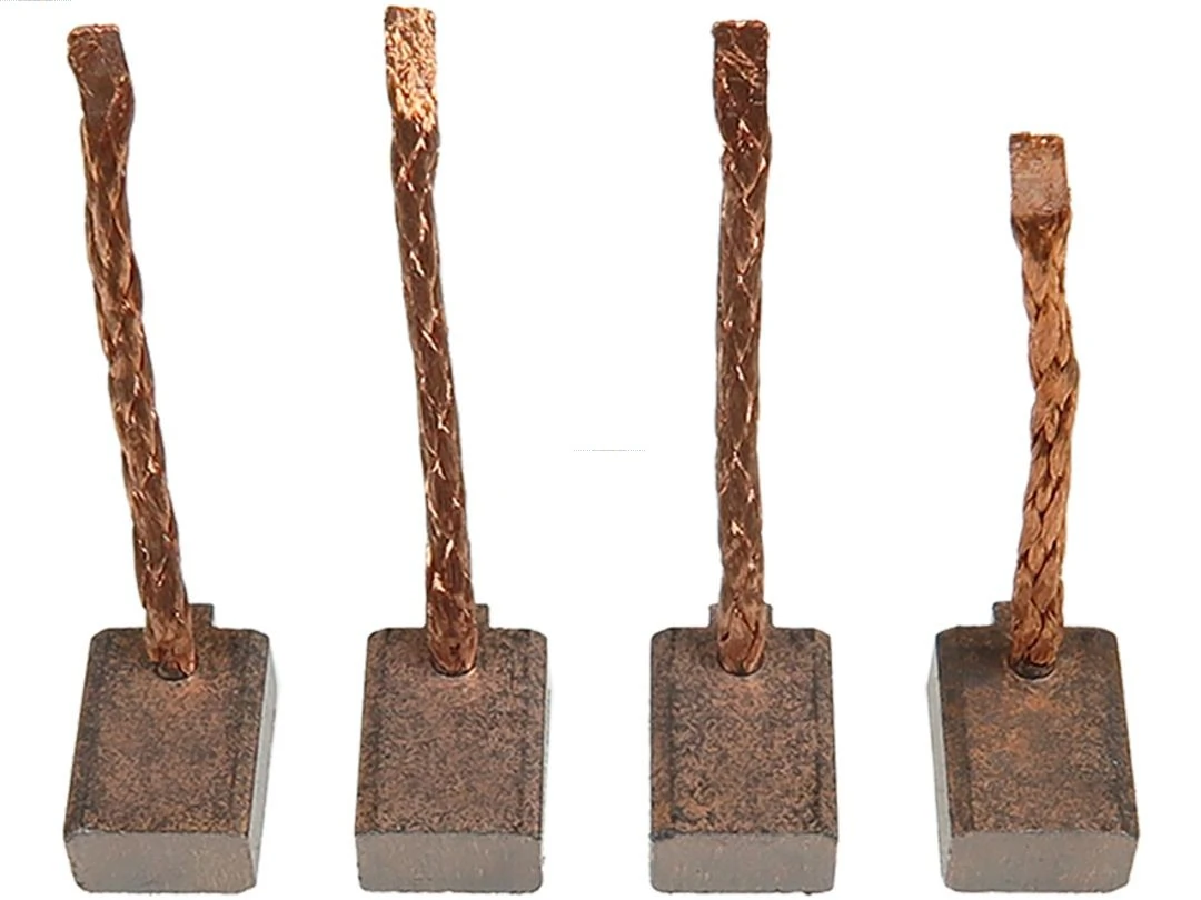 Carbon Brush, starter