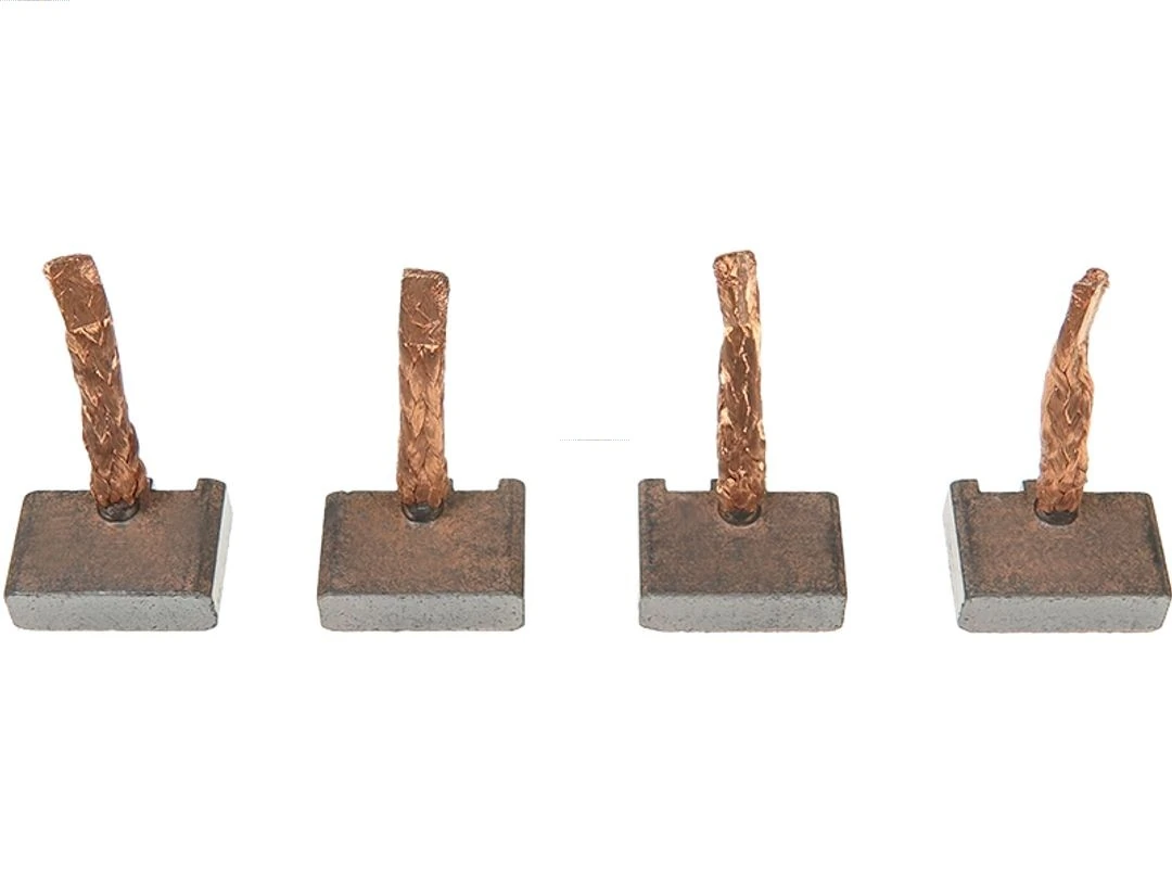 Carbon Brush, starter