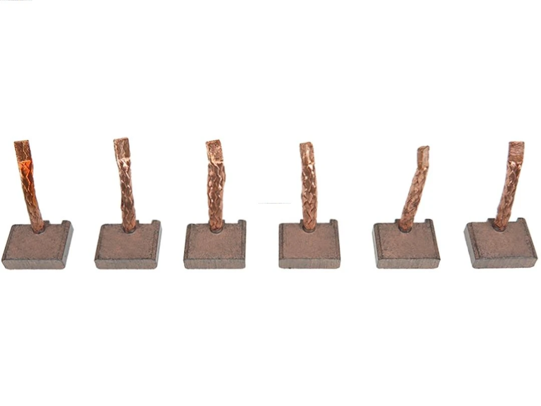 Carbon Brush, starter