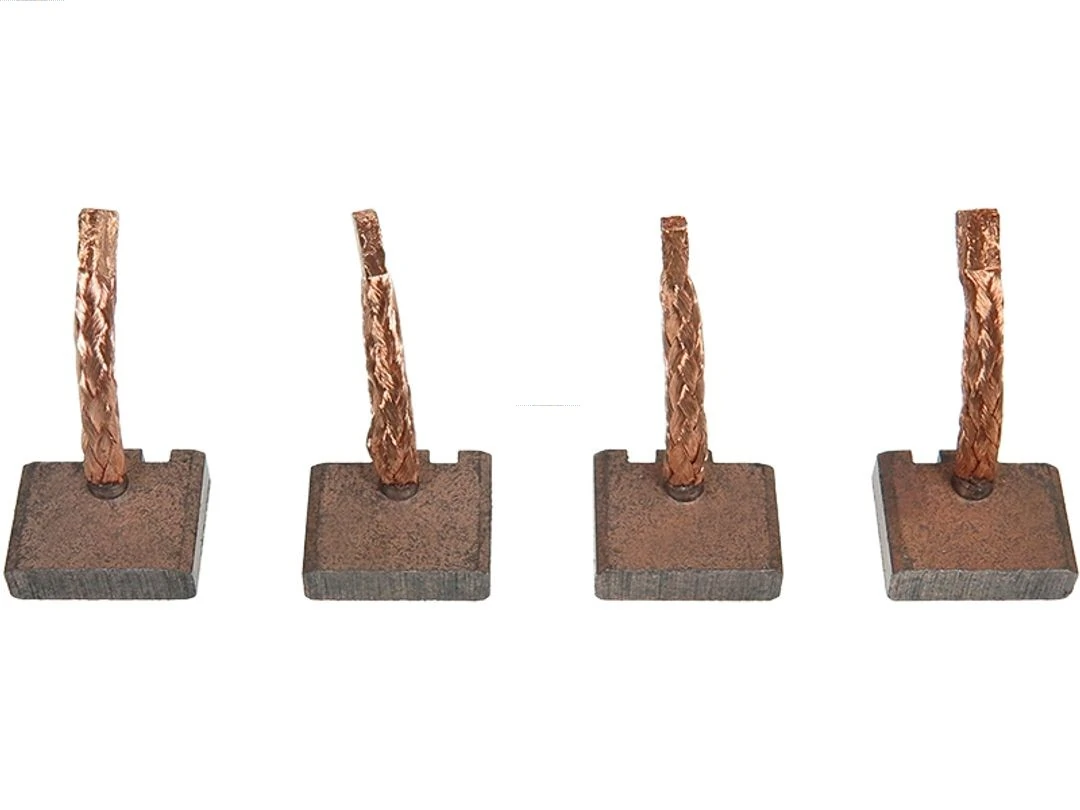 Carbon Brush, starter