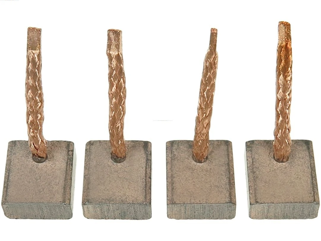 Carbon Brush, starter