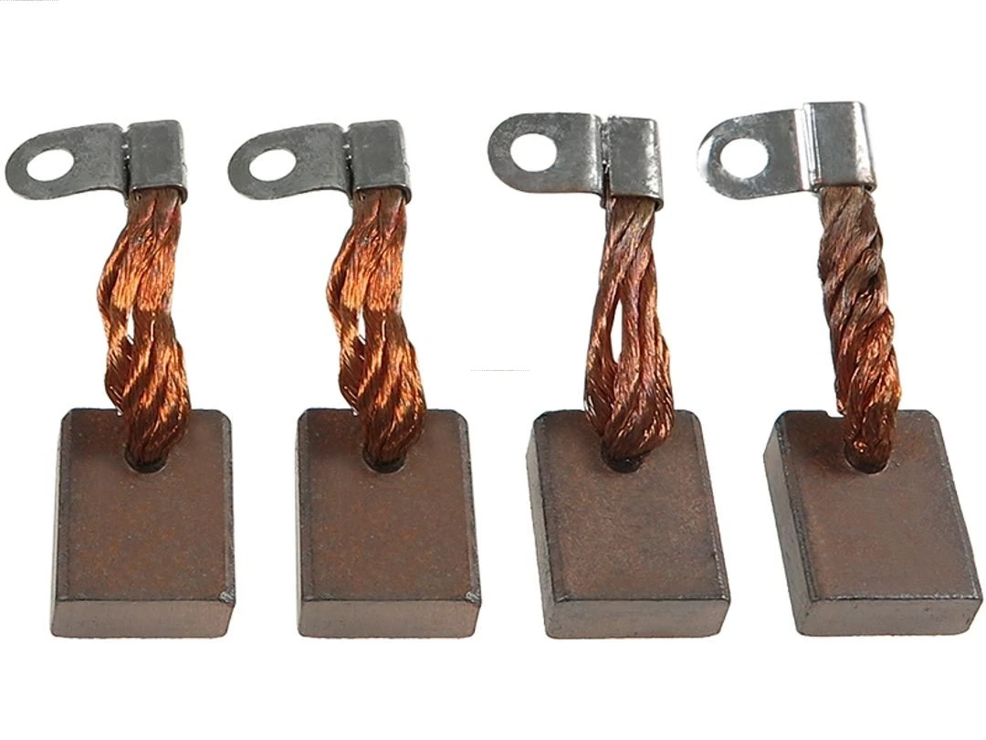 Carbon Brush, starter