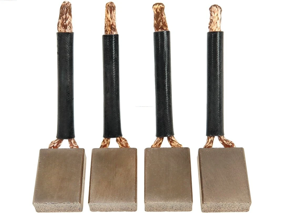 Carbon Brush, starter