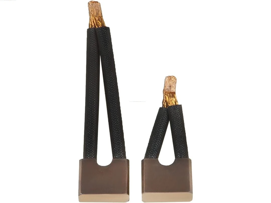 Carbon Brush, starter