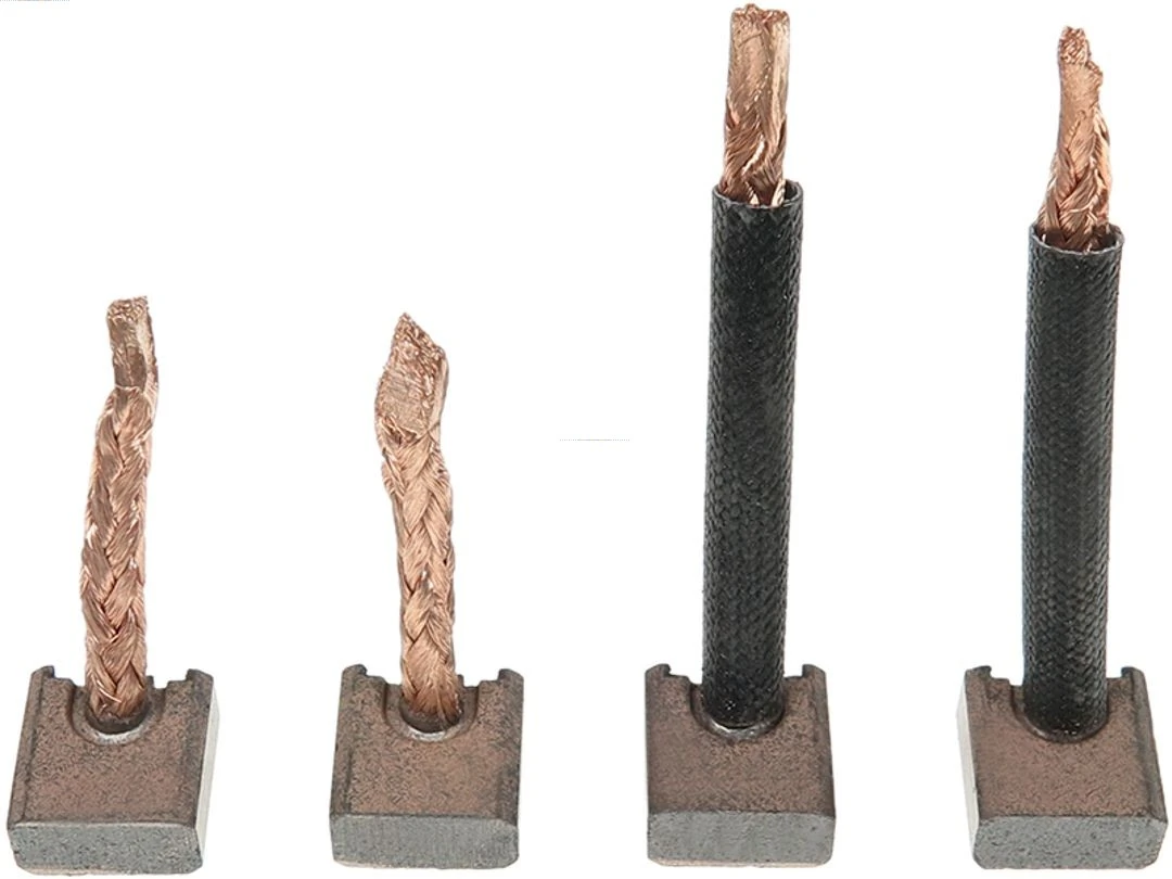 Carbon Brush, starter