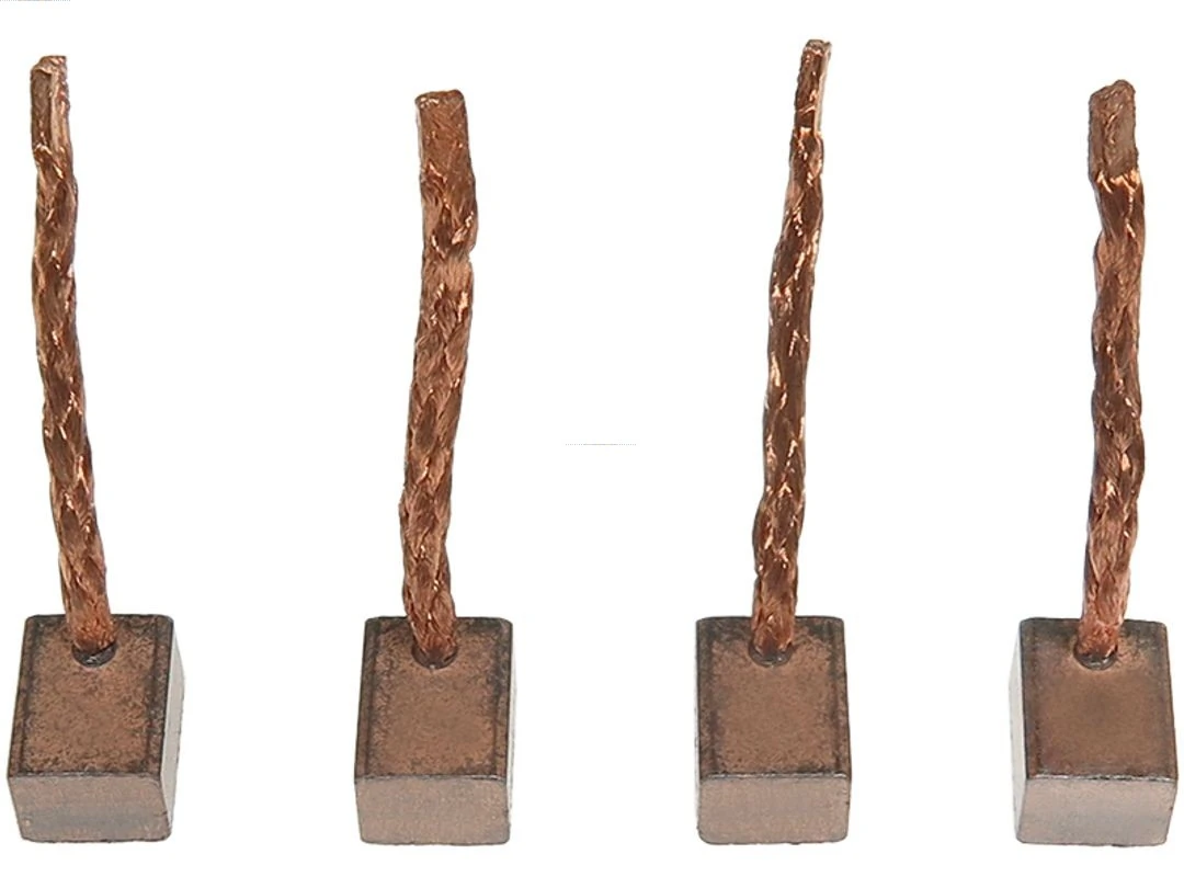 Carbon Brush, starter