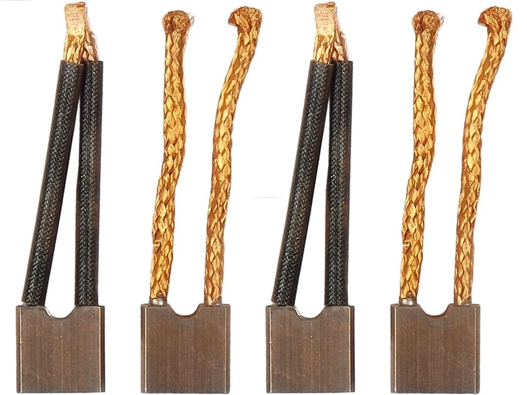 Carbon Brush, starter